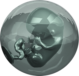 loader-figure-7