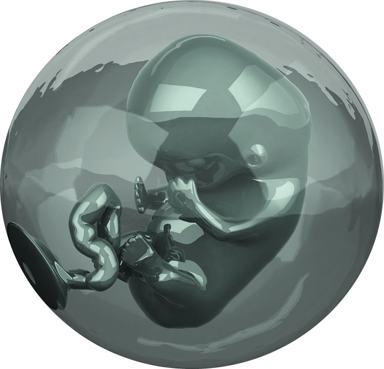 logo-part-7